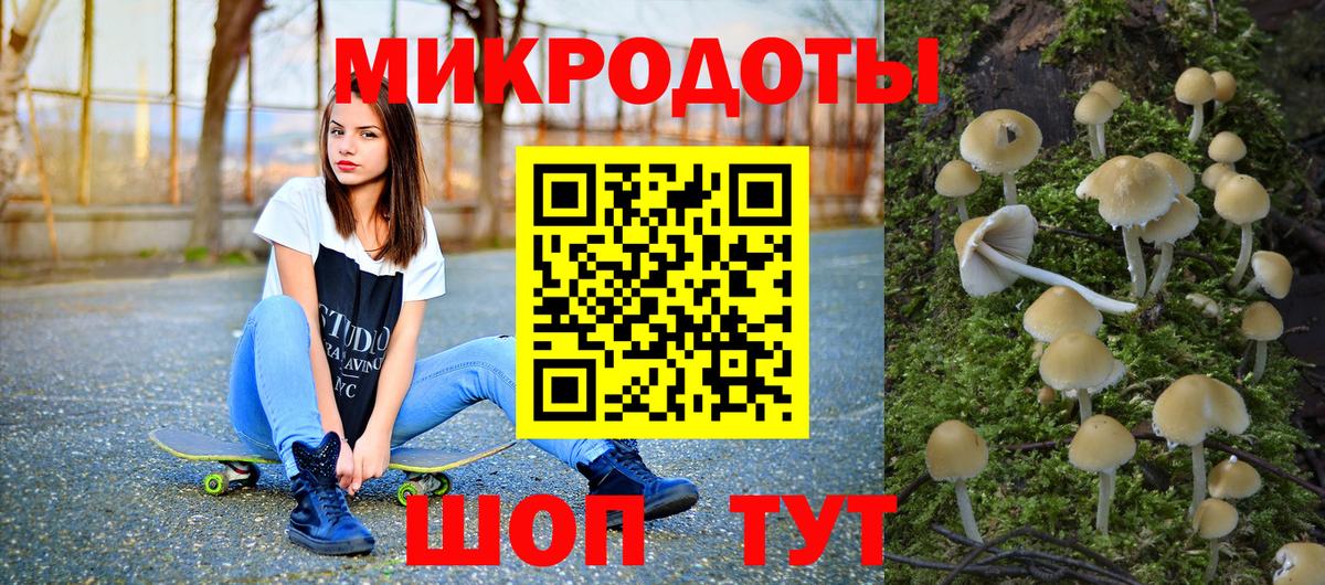 Корсаков  где найти   Псилоцибиновые грибы MAGIC MUSHROOMS  Вход с VPN  Галлюциногенные грибы GOLDEN TEACHER 